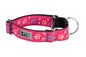 All Webbing Training Collar
