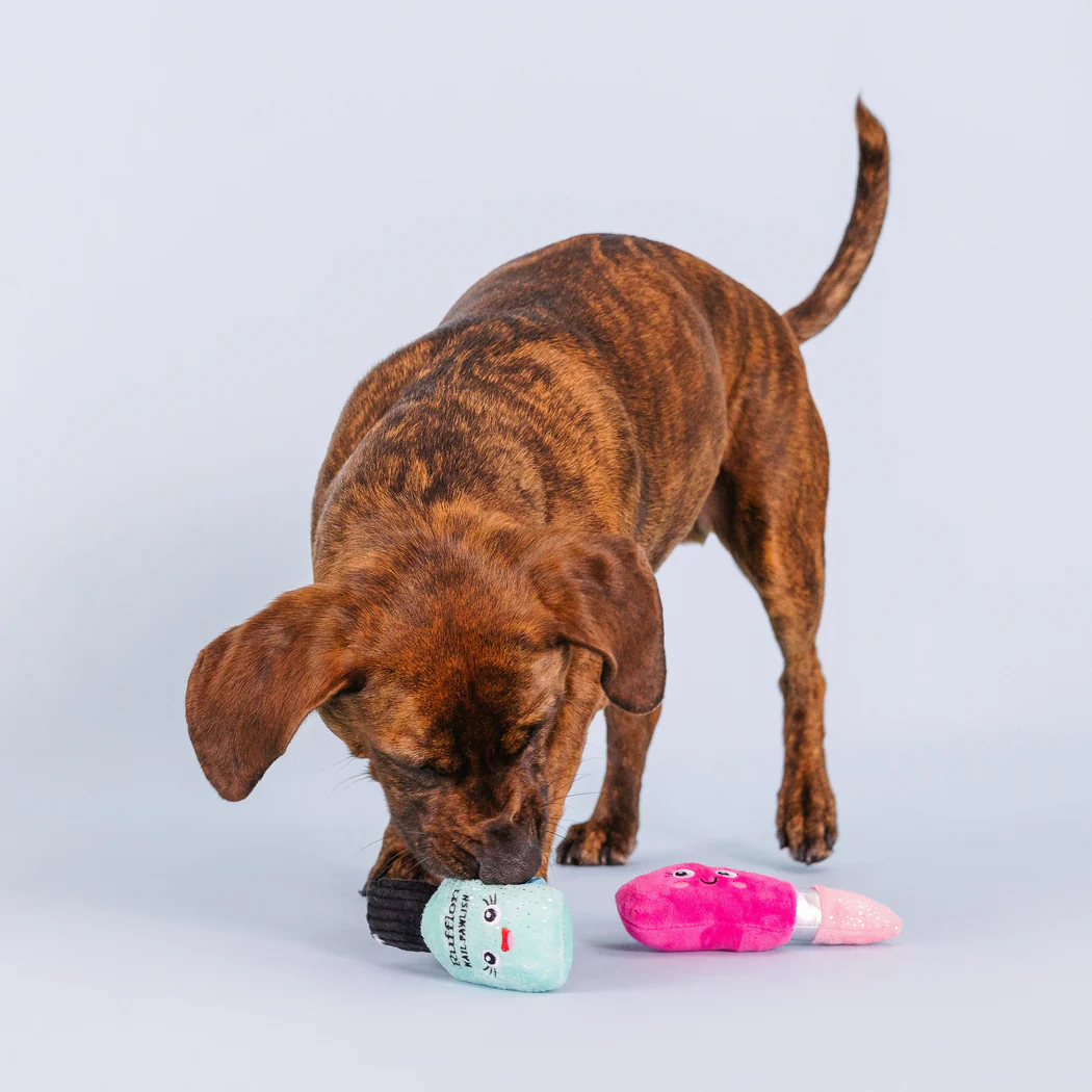 Brindle dog sniffing a light blue nail polish bottle toy with a pink lipstick toy nearby