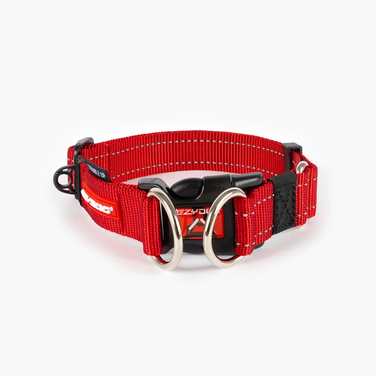 DOUBLE-UP COLLAR
