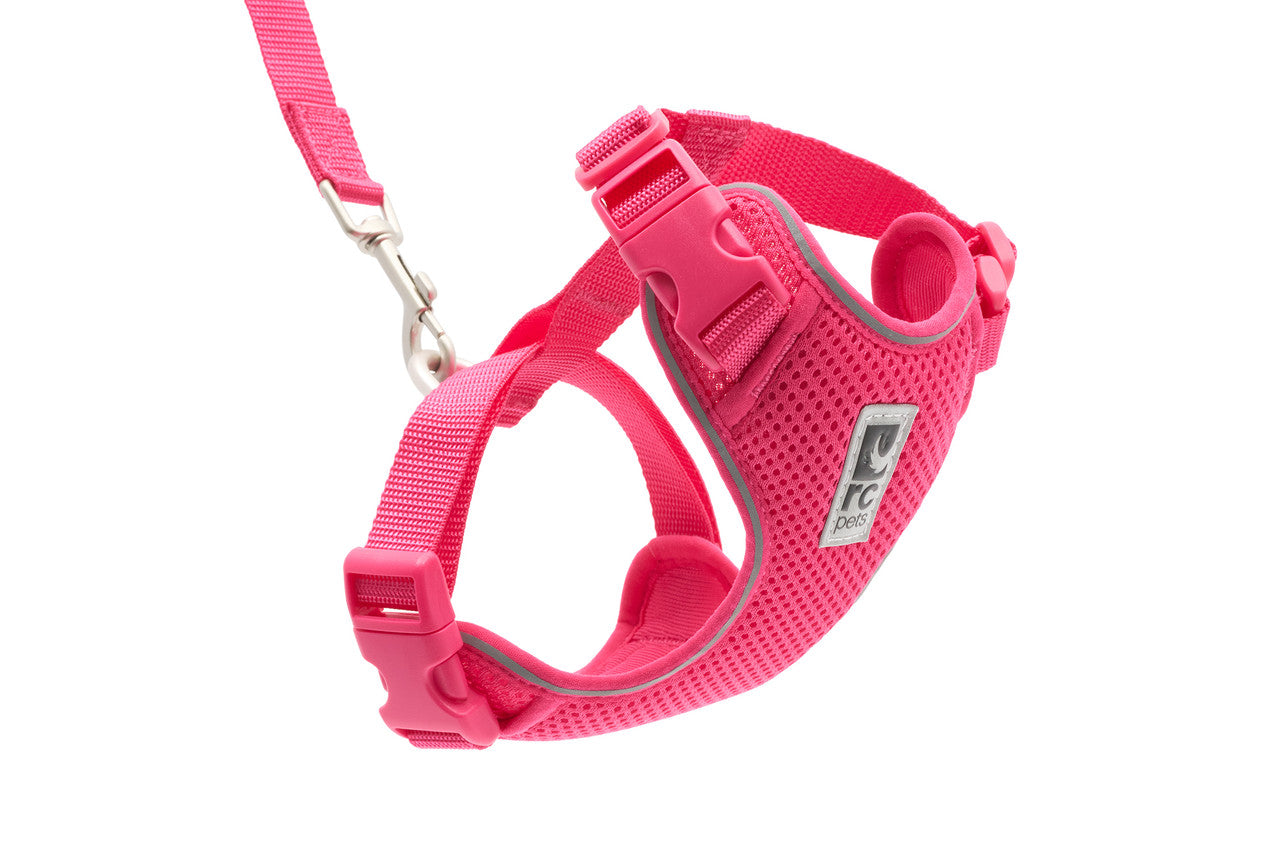 Adventure Kitty Harness