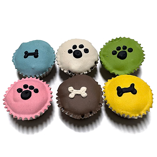 Bubba Rose Biscuit Co mini cupcakes with paw print and bone icing decorations