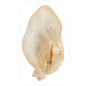 COW EARS -PACK OF 10
