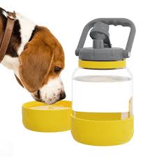 Beagle drinking from a yellow bowl next to a yellow and grey portable pet water bottle