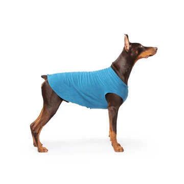 Stretch Fleece - Marine Blue
