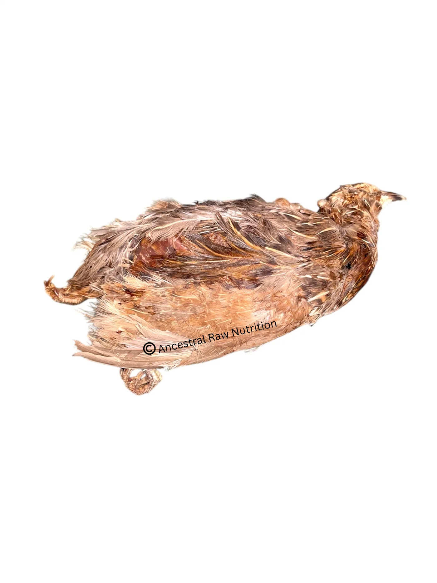 Dehydrated Whole Prey Quail