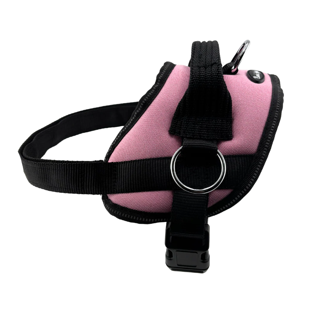 Pink dog harness with black straps and metal rings