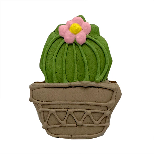Cactus (Regional) Case of 12