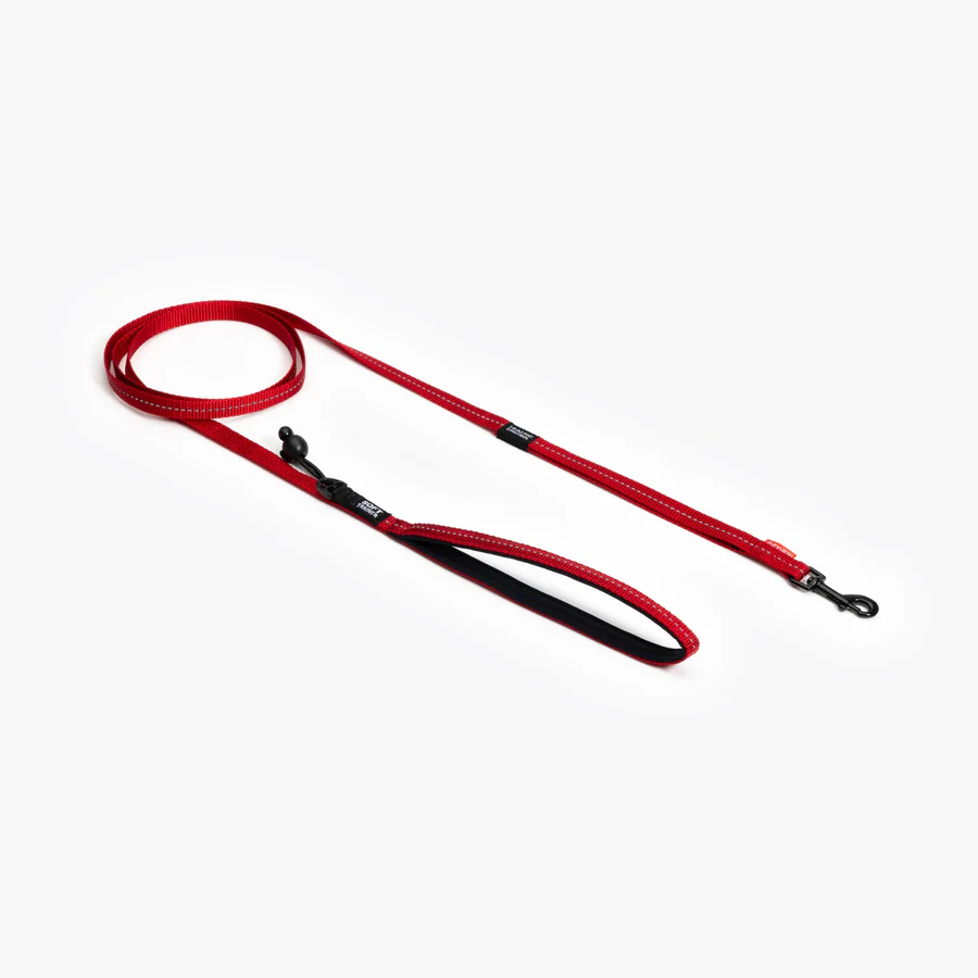 SOFT TRAINER LEASHES W/ TRAFFIC CONTROL- 6 FOOT