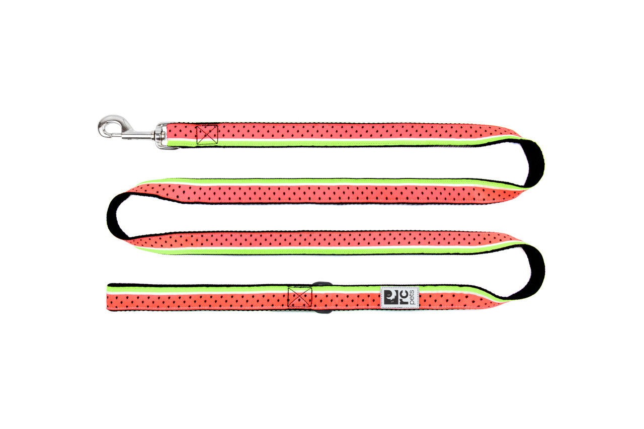 Patterned Leash
