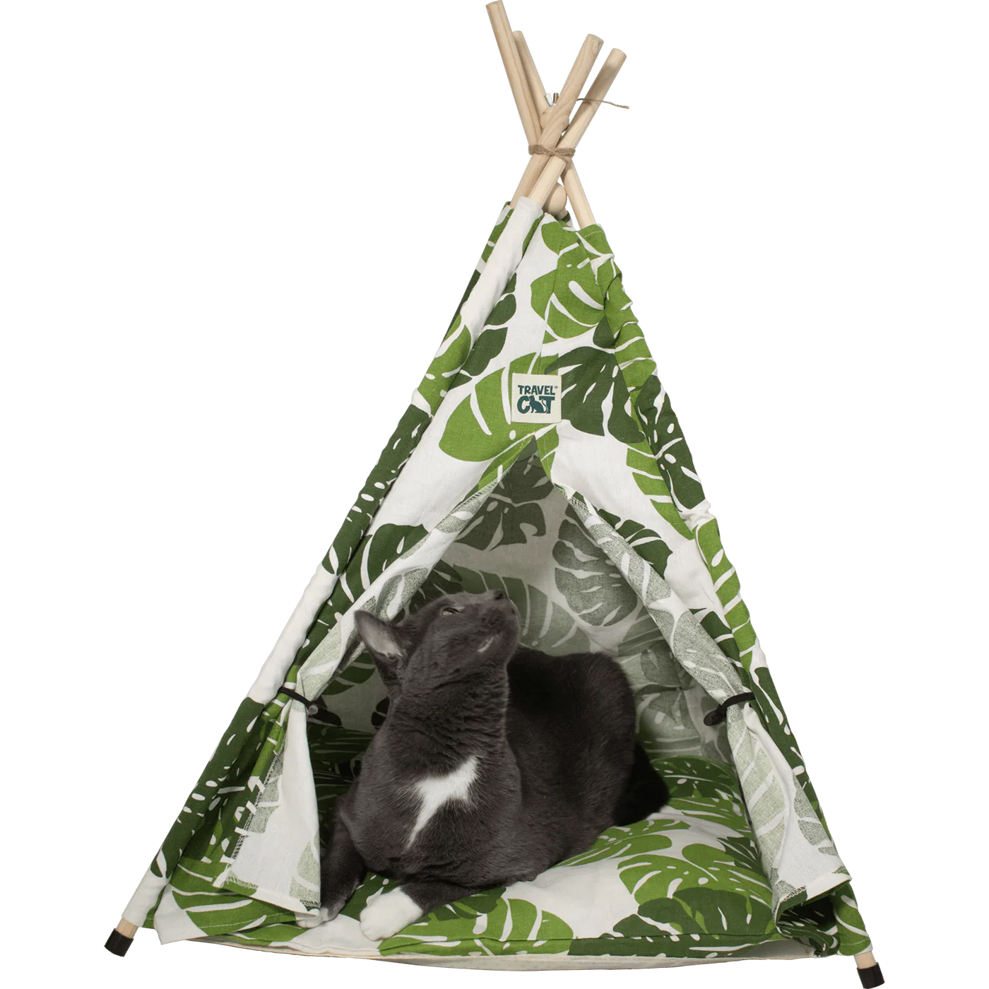 Travel Cat cat teepee with a gray cat inside