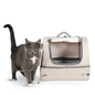 Gray cat with green eyes next to a Travel Cat beige litter box