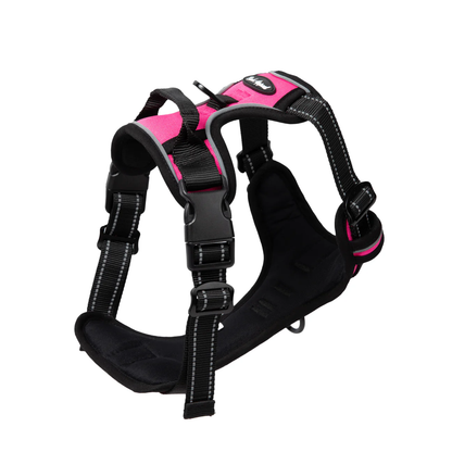 Reflective Control Harness