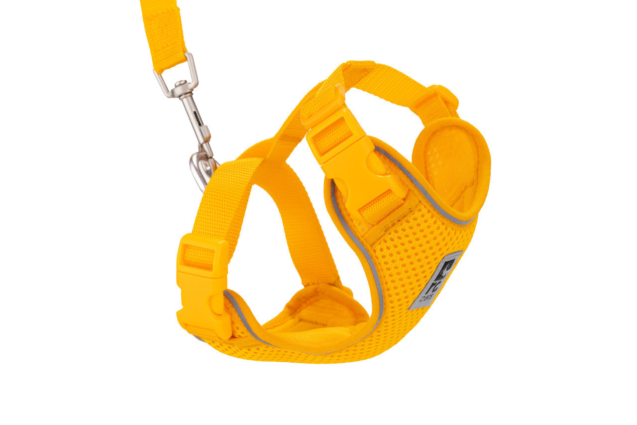 Adventure Kitty Harness