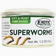 Canned Superworms