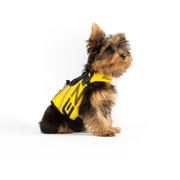 Dog Flotation Device X2 BOOST (DFD X2 BOOST)