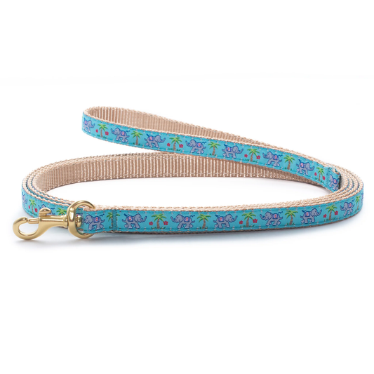 Trunk Show Small Breed Dog Lead