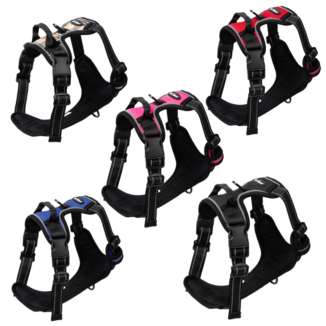 Starter Packages- Reflective Control Harness
