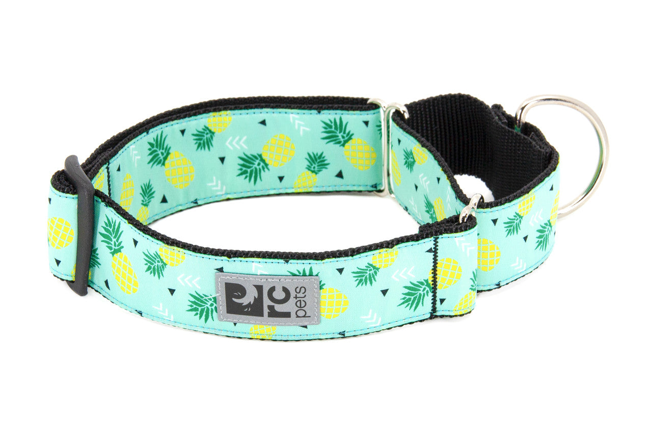 All Webbing Training Collar