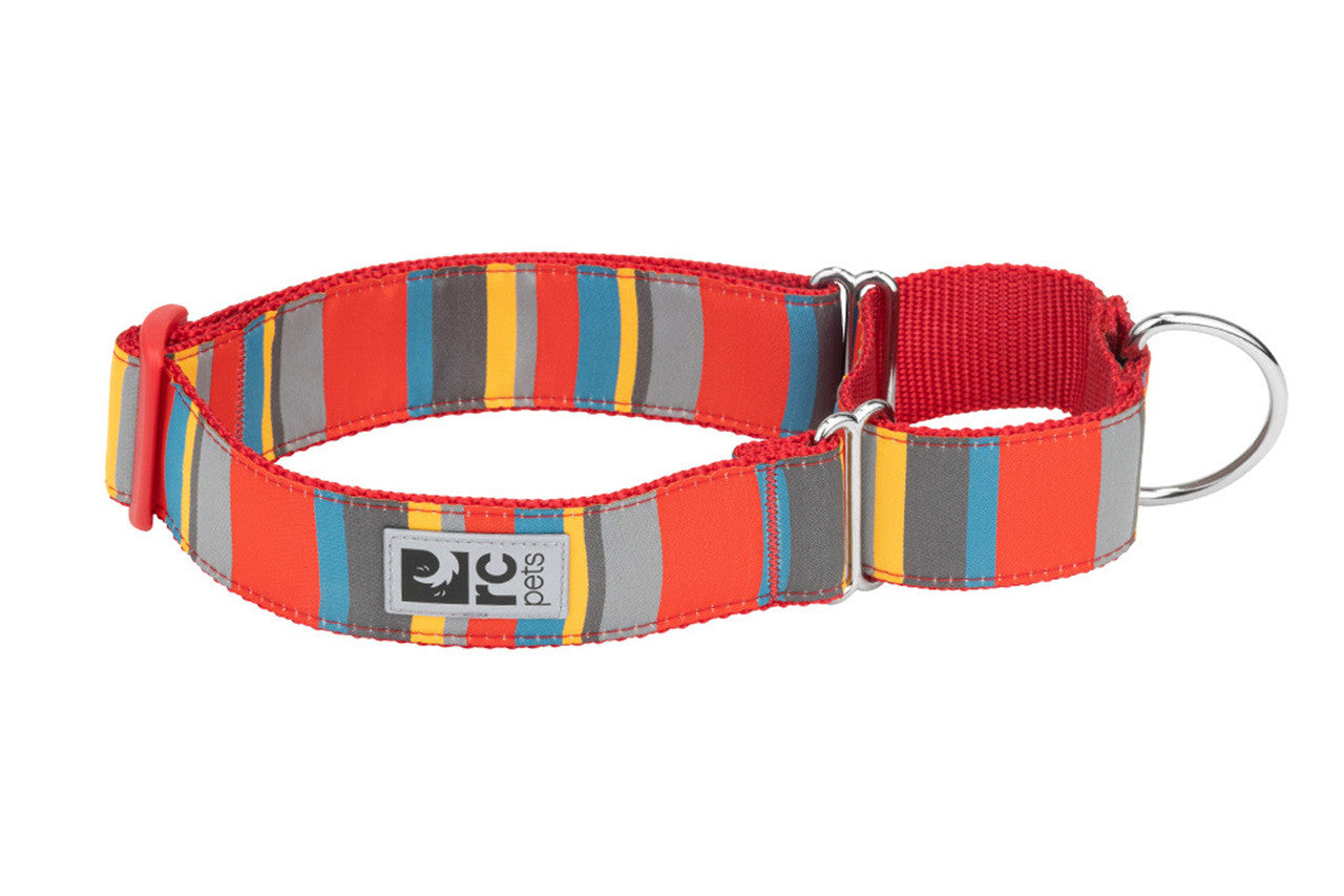 All Webbing Training Collar