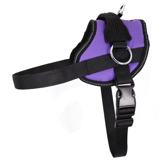 Purple dog harness with black straps and silver metal rings