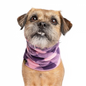 Snood