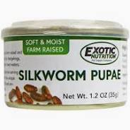 Canned Silkworm Pupae