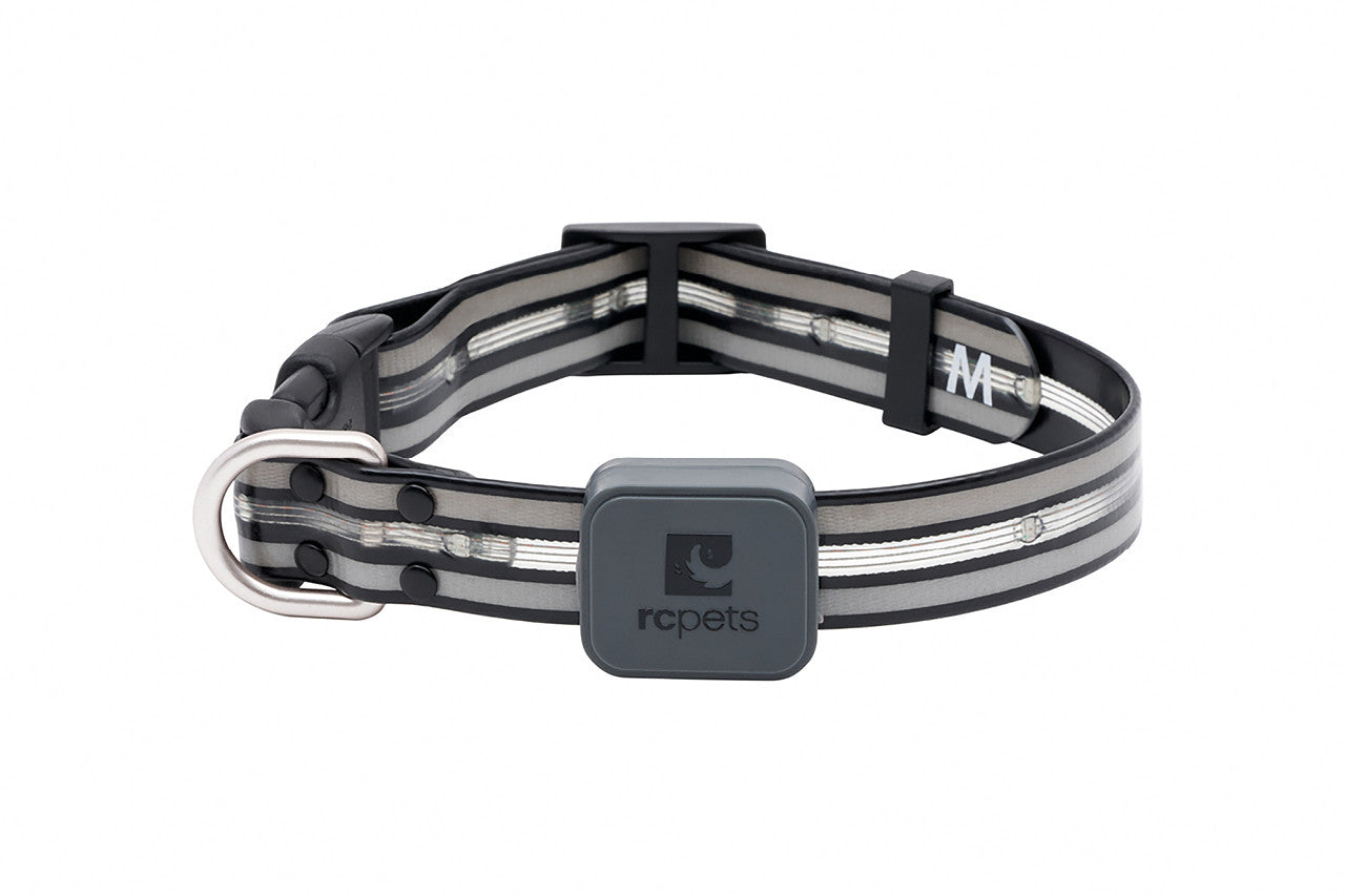 Nova LED Light Collar