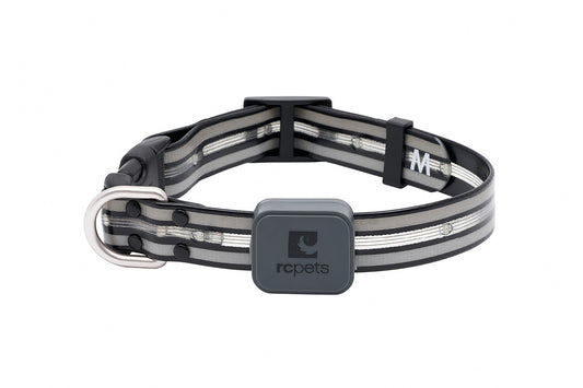 Nova LED Light Collar