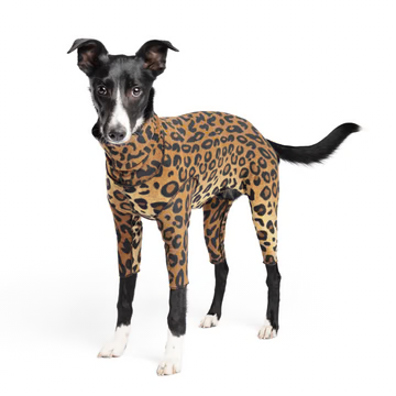 Signature Suit - Leopard