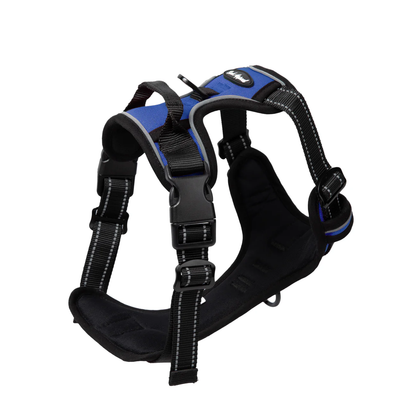 Reflective Control Harness