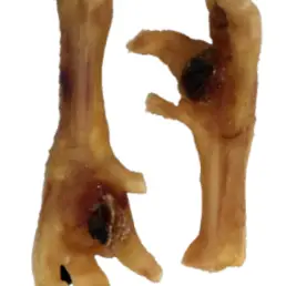 CHICKEN FEET- PEDICURED- PACK OF 10