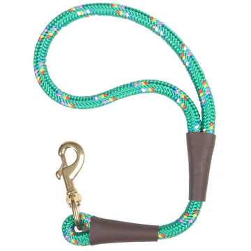 Green rope dog leash with colorful flecks and a brass snap hook
