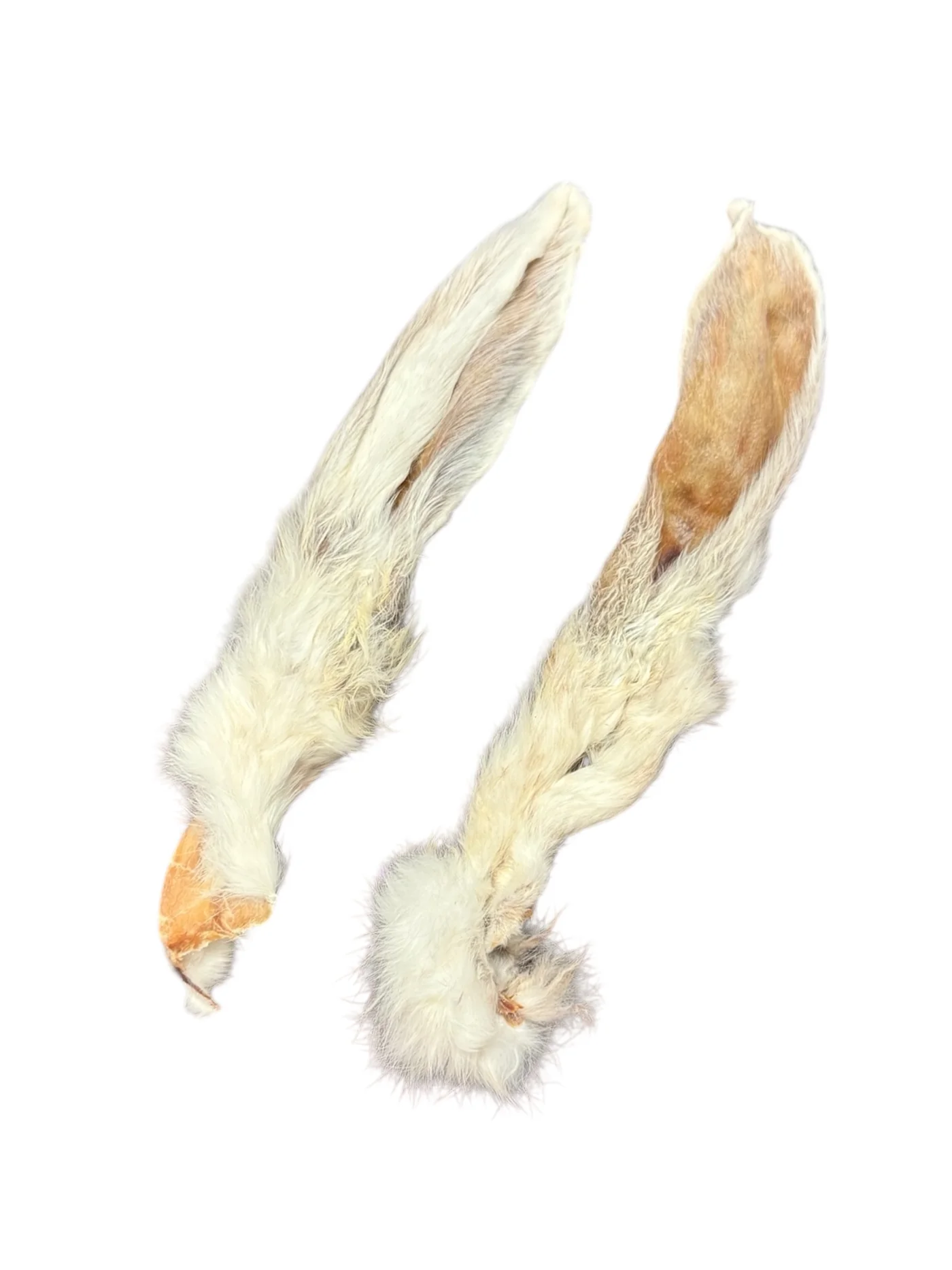 Dehydrated Rabbit Ears with Fur - 45 count