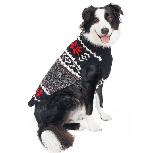 Border Collie dog wearing a black, white, and red Fair Isle patterned sweater