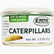 Canned Caterpillars