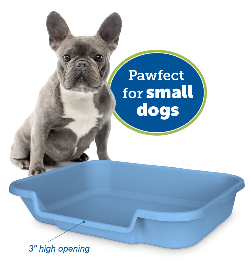 PuppyGoHere- Puppy Pan