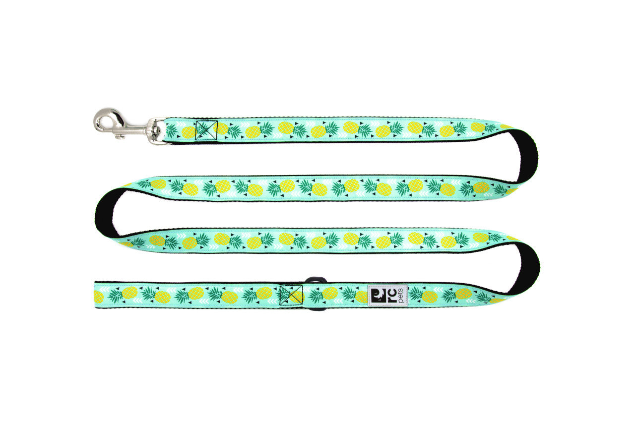 Patterned Leash