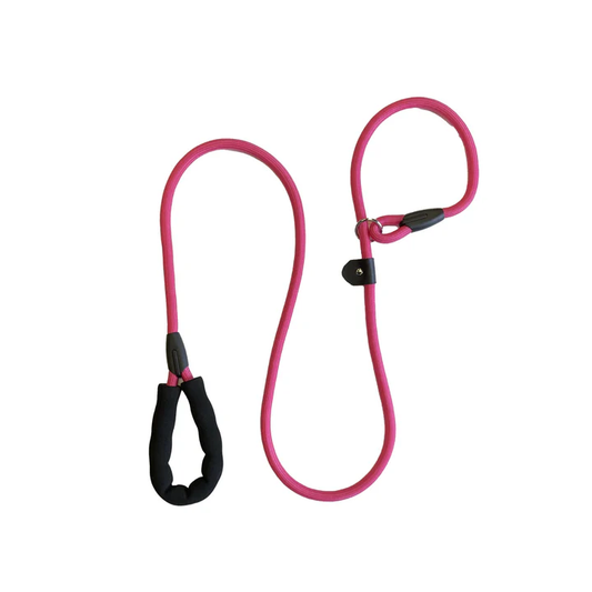 Starter Packages- 6' Slip Rope Leash Starter Pack