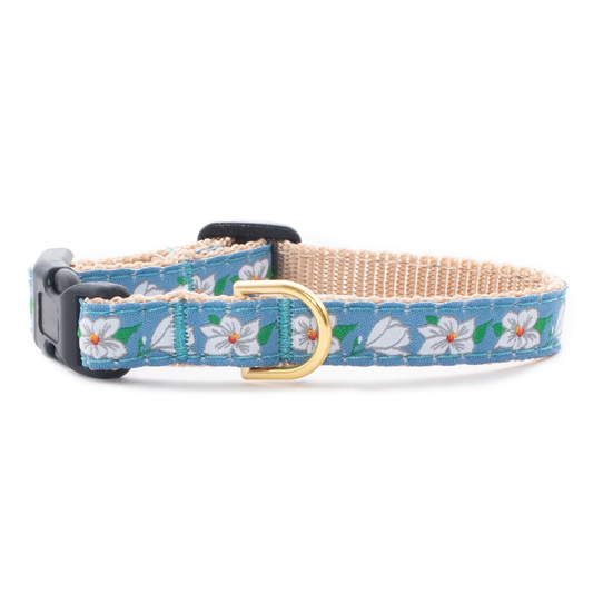 Magnolia Small Breed Dog Collar