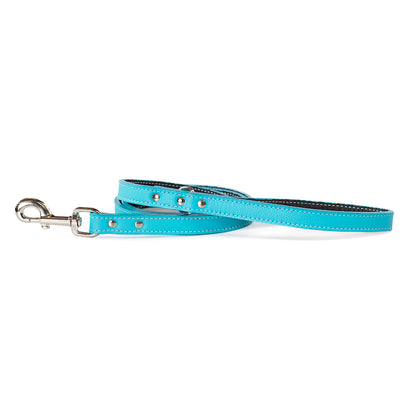 Auburn Leather Tuscan leash in turquoise with silver hardware