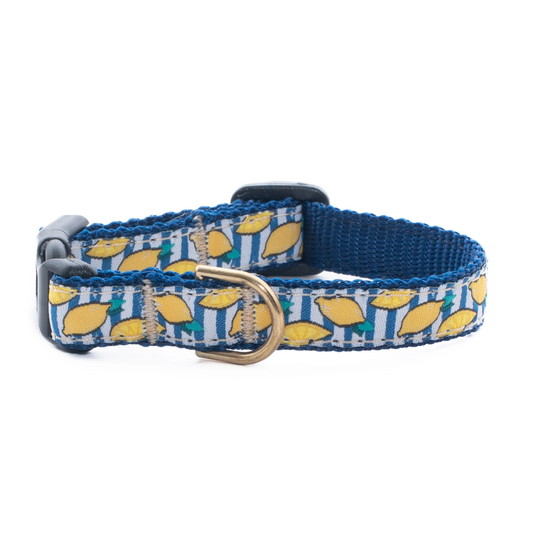 Make Lemonade Small Breed Dog Collar