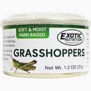 Canned Grasshoppers