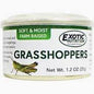 Canned Grasshoppers
