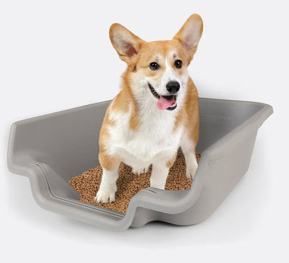 PuppyGoHere- Puppy Pan