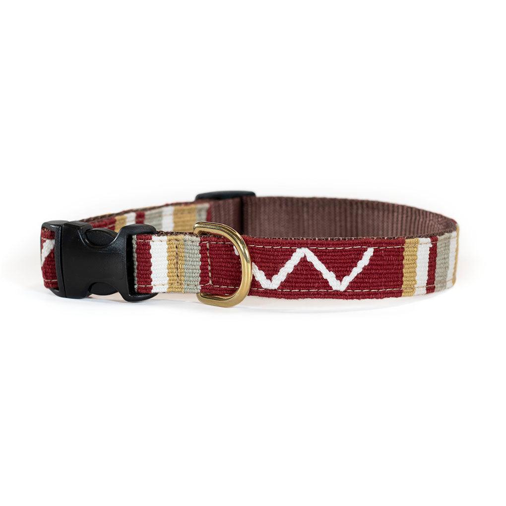 A Tail We Could Wag Collars