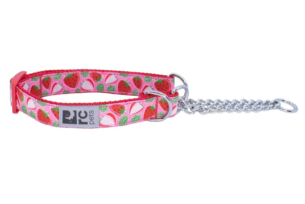Patterned Training Collars