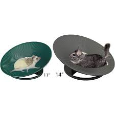 Exotic Nutrition Treadmill Wheel in green with a hedgehog and gray with a chinchilla