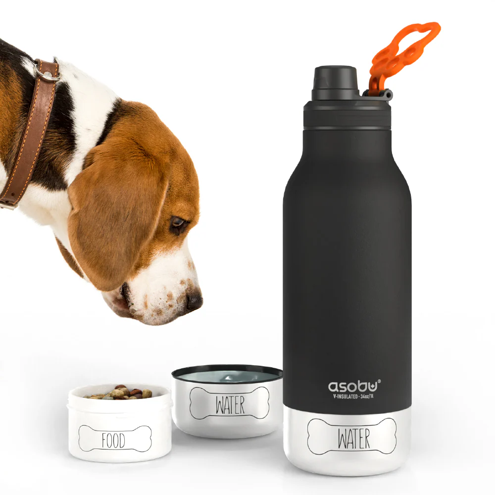 Asobu Barky Bottle- 34oz with a beagle looking at food and water bowls