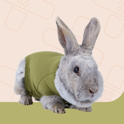 Recovery Suit- Rabbit- Green