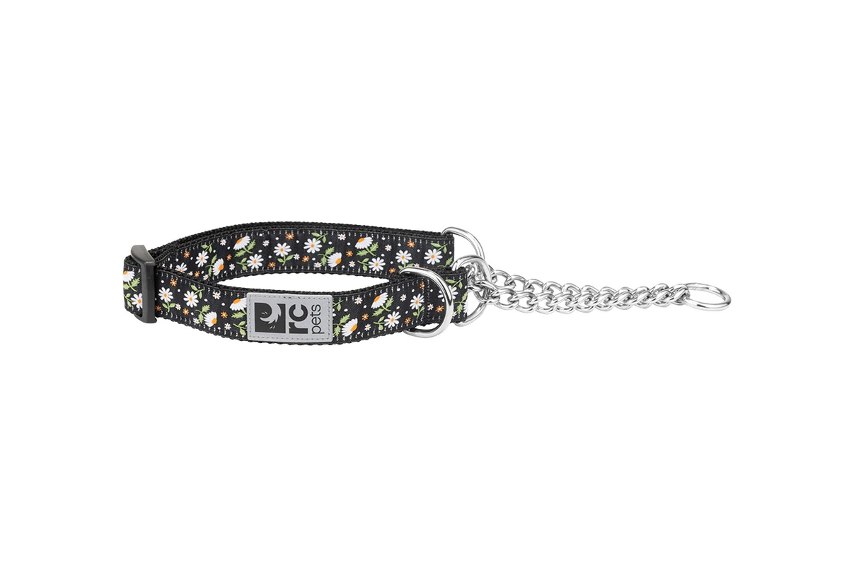 Patterned Training Collars